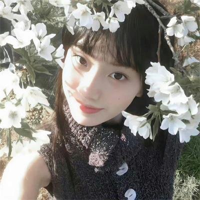鲨鱼开大口